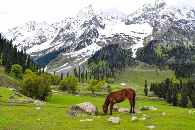 Kashmir, Jammu & Kashmir